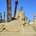 temple_luxor_lux_h_0095_egy3564.jpg